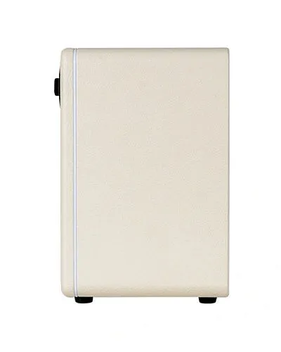 Mooer DH15i WH Моделирующий гитарный комбоусилитель.