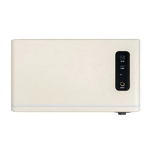 Mooer DH15i WH Моделирующий гитарный комбоусилитель.